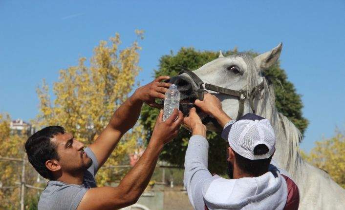 At çiftliğindeki yangında 1 milyon lira maddi hasar