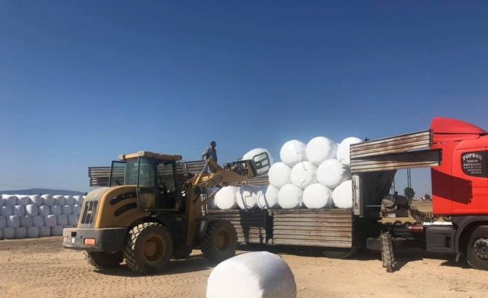 Besiciler silaj ihtiyacını Aslanapa ilçesinden karşılıyor