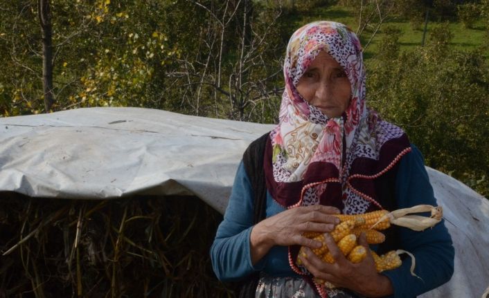 Bu ilçede insanlar uzun yaşıyor