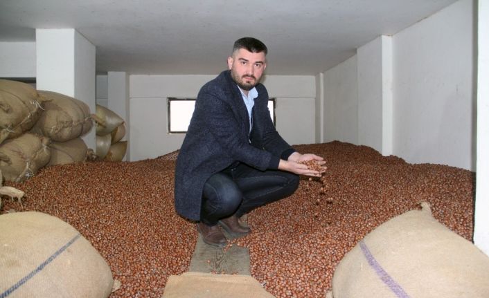 Fındık fiyatı 20 liraya koşuyor