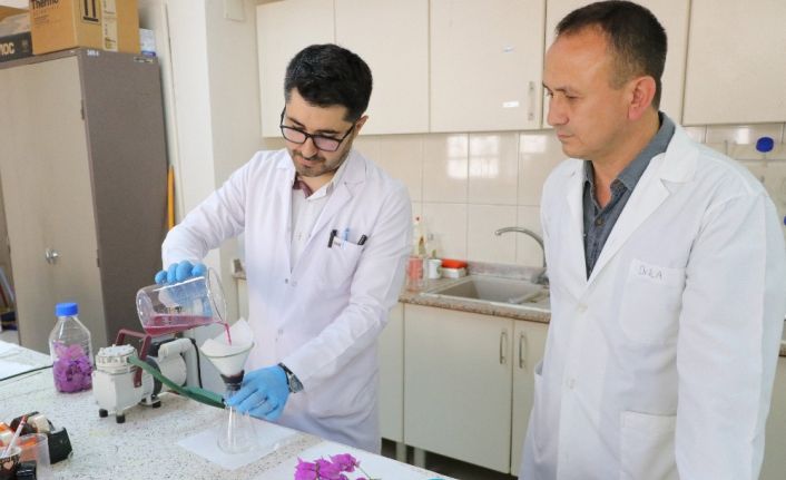 Gelin duvağından tescilli doğal boya