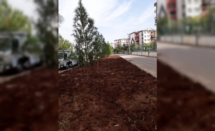 Hedef yeniden yeşil Bağlar