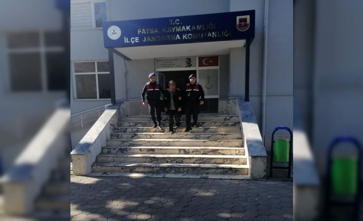 Köpekleri öldürdü, sosyal medya sayesinde yakalandı