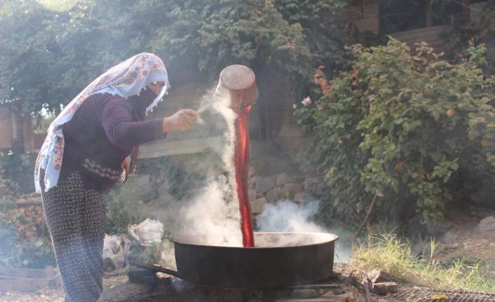 Köylerde şifa kaynağı "Pekmez" mesaisi