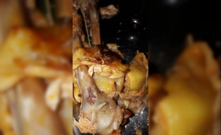 Marketten aldıkları tavuğun içinden kurtlar çıkan aile şaşkına döndü