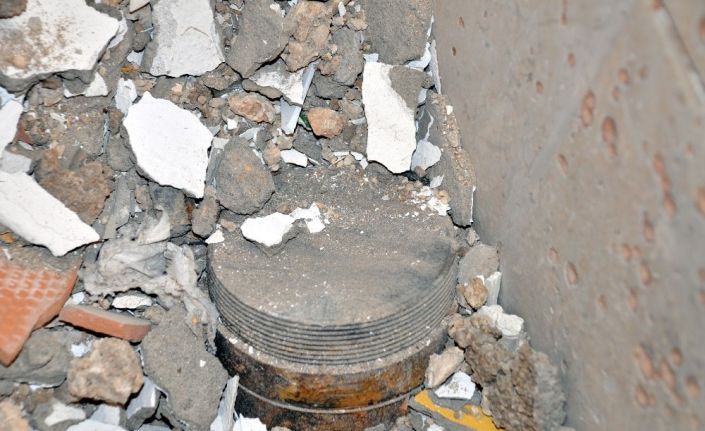 Şoke eden davetsiz misafir