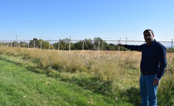 Stat ilgisizlikten meraya döndü