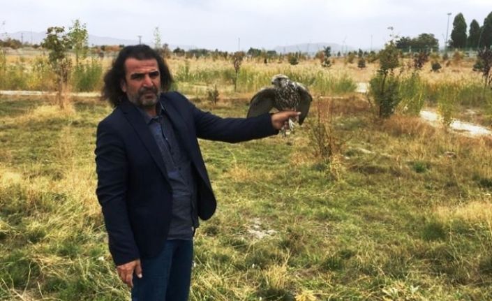 Tedavileri tamamlanan kuşlar yaşam alanlarına bırakıldı