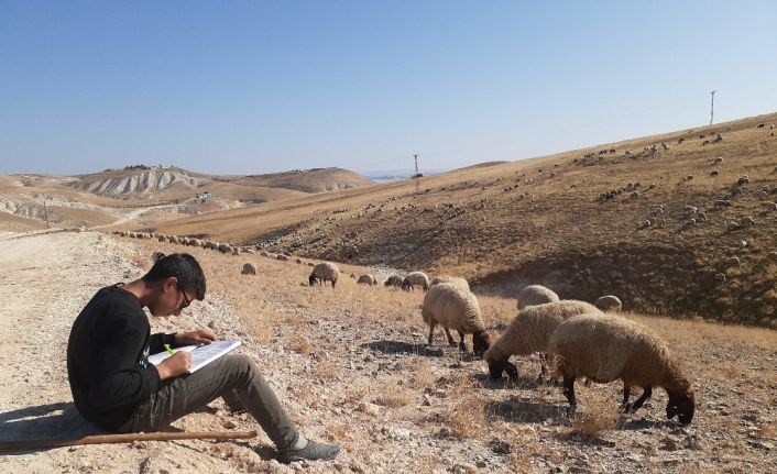 Ara tatilde hem çobanlık yapıyor hem de ders çalışıyor