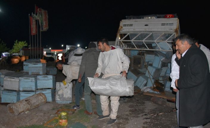 Arı kovanı yüklü kamyonet kaza yaptı, arıcılar yardım için seferber oldu