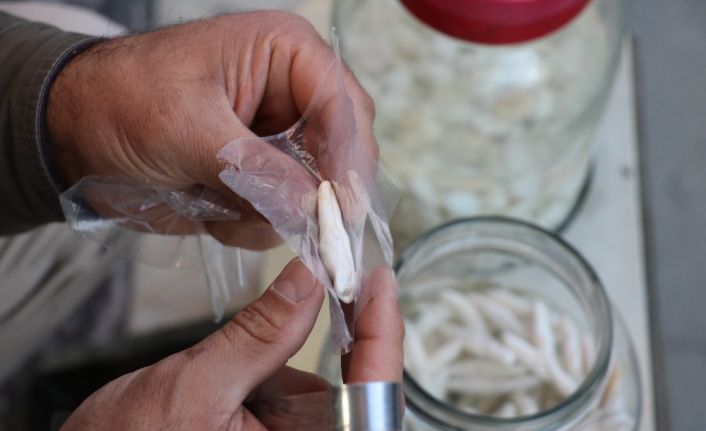 Bu sakız bir ay çiğnenebiliyor