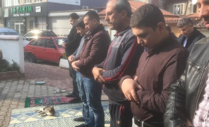 Cami cemaatinin kedi sevgisi takdir topladı