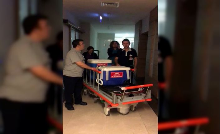 Ev hanımının organları 3 hastaya umut oldu