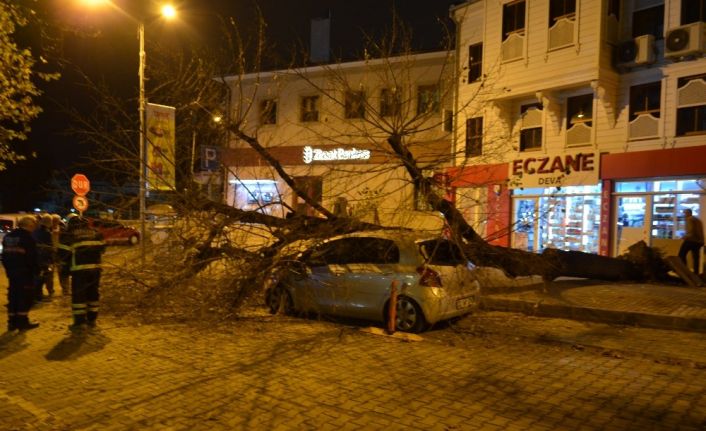 Gece yarısı korku dolu anlar... Dev ağaç otomobilin üzerine devrildi