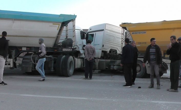 Kediyi ezmek istemeyen tır sürücüsü, tırla çarpıştı: 1 yaralı