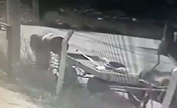 Kendi mallarıymış gibi aldılar