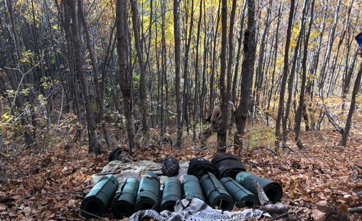 Kıran-5 Operasyonu’nda Muş’ta teröristlere ait sığınak ve depolar imha edildi