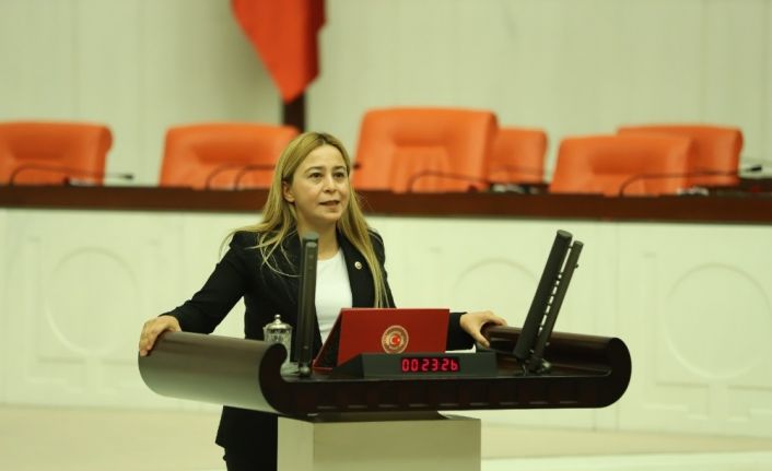 Milletvekili Kara: “Suça sürüklenen çocukların sorunları incelenmeli”