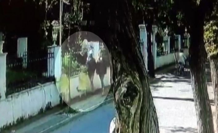 Eski İngiliz ajanı Le Mesurier’in ölmeden önceki son görüntüsü