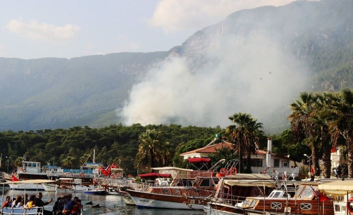 Yangın ihbarı, kontrollü yakım çıktı