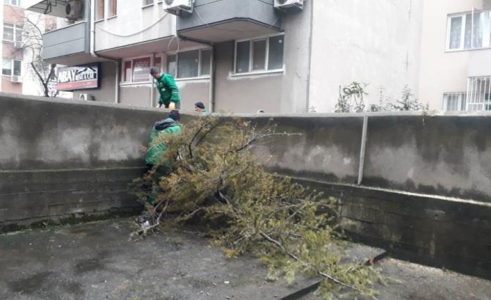 İzmit’te fırtınada devrilen ağaçlara anında müdahale