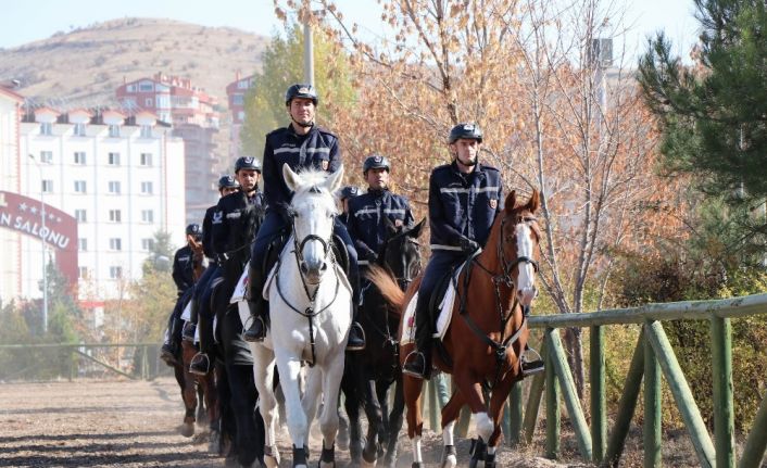 Kadın astsubaylar atları anne şefkati ile yetiştiriyor