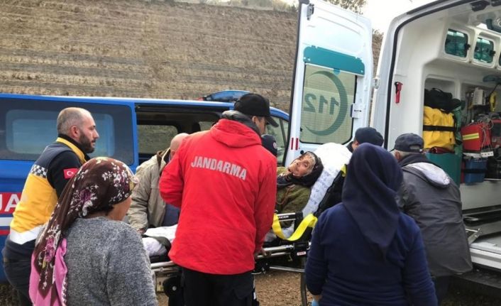 Zeytin toplamak için evden çıkan yaşlı kadın, 14 saat sonra bitkin halde bulundu