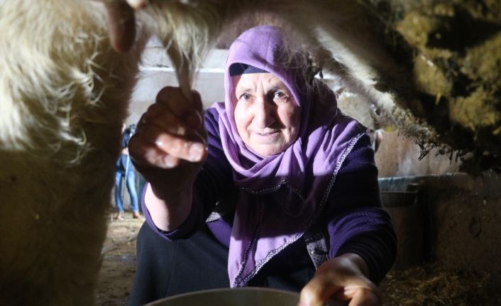 64 yaşındaki şair Latife teyze 25 kişiye rakip oldu