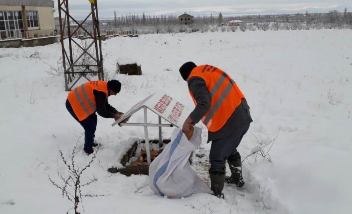 Akşehir Belediyesi sokak hayvanlarını beslemeyi Sürdürüyor