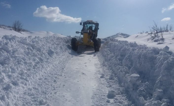 Bingöl’de kar 28 köy yolunu kapattı