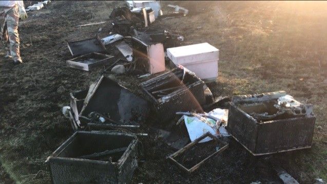 Çanakkale’de 30 kovan arı yandı