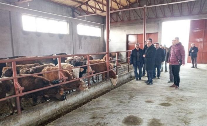 Iğdır’da işletme denetimleri devam ediyor