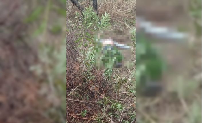 Mersin’de yağıştan dolayı ölenlerin sayısı 2’ye yükseldi