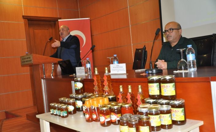 Prof. Dr. Halil Yeninar; “Bal ısındığı zaman ölür, şeker şurubu olur”