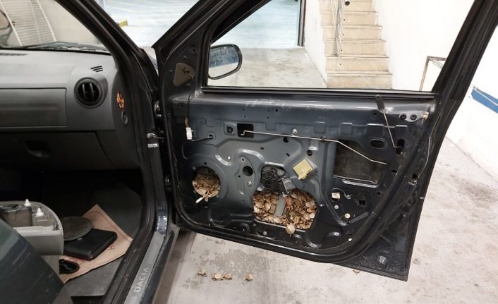 Sarp Sınır Kapısı’ndan 5 bin 450 adet su kaplumbağasını Türkiye’ye böyle geçirmeye çalışmış