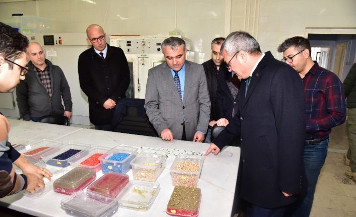 Vali Deniz incelemelerde bulundu