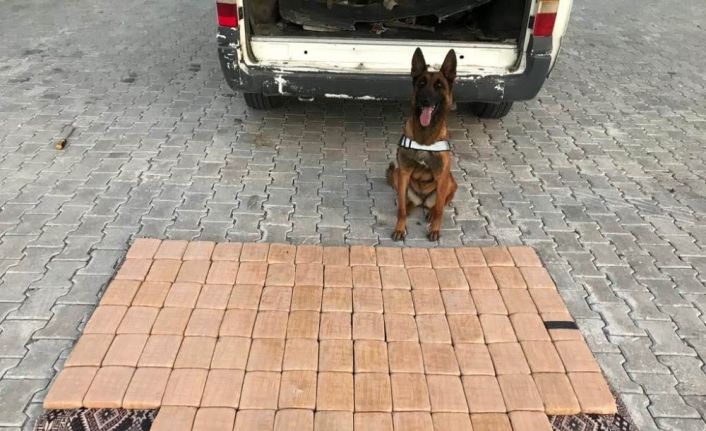 Van polisi 2019 yılında 5 ton 756 kilo uyuşturucu ele geçirdi