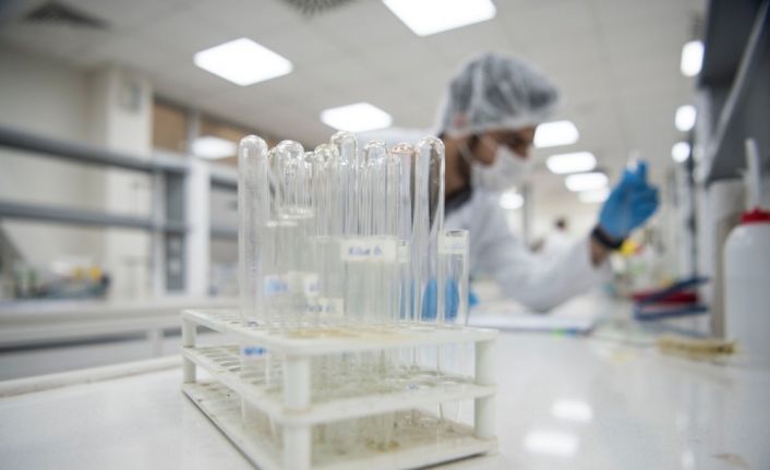 Anadolu Üniversitesi virüs salgınları kaynaklı hastalıklara karşı hazırlık ve faaliyet planı hazırladı