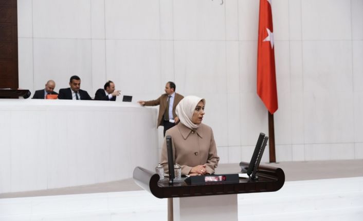 AK Parti MKYK Üyesi ve Erzurum Milletvekili Zehra Taşkesenlioğlu Ban, TBMM genel kurulunda konuştu