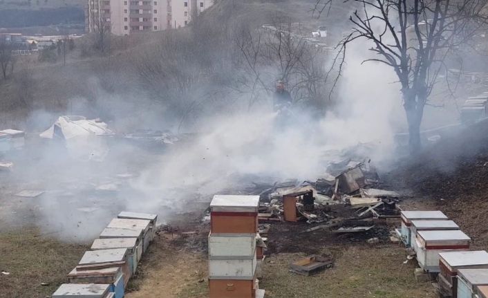 Arıların bakımı için bıraktığı kovan körüğü yangın çıkardı