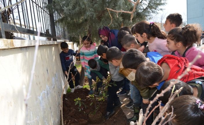 Bağlar Belediyesinden okullarda yeşil alan seferberliği