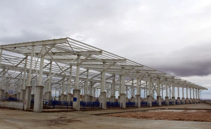 Boğazlıyan’da hayvan pazarı kapatıldı