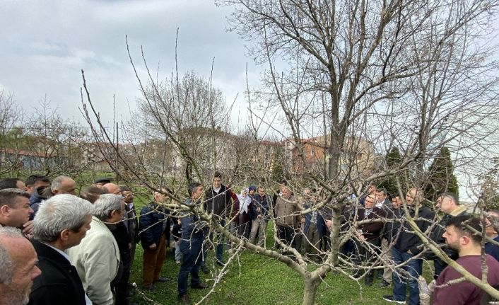 Çiftçilere uygulamalı budama eğitimi