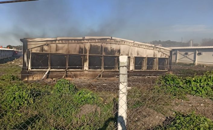 Elektrik kontağı tavukhaneyi küle çevirdi