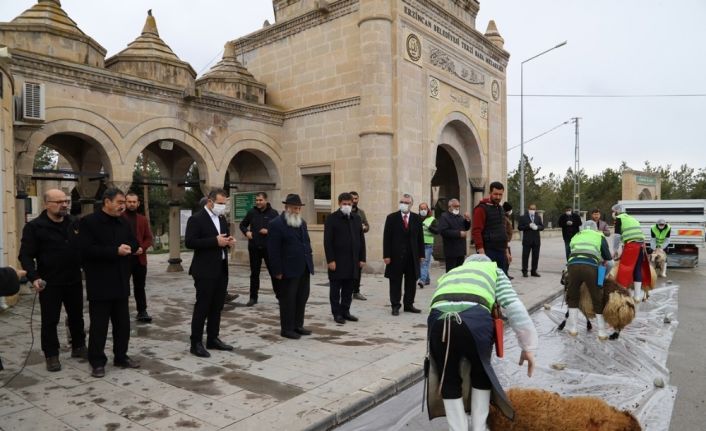 Erzincan’da Korona virüs salgınının bitmesi için kurbanlar kesildi, dualar edildi