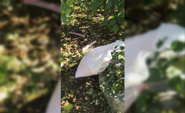 İzinsiz dinamit patlatmak isteyen bir kişi tutuklandı