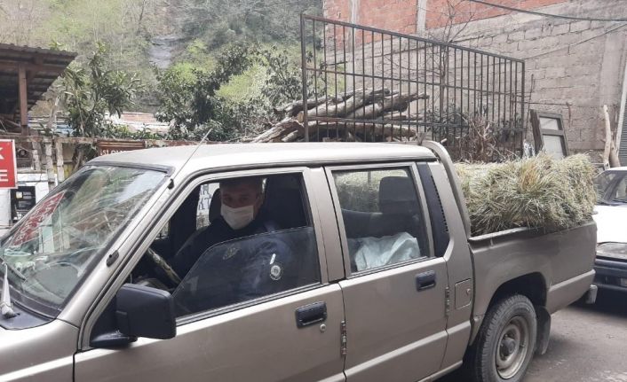 Medeni denilen Avrupa yaşlıları ölüme terk ederken Türk polisi yaşlıların inekleri için bile seferber oldu