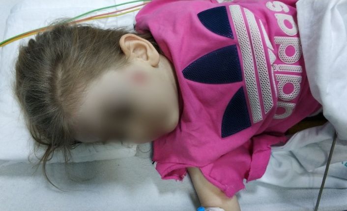 Motosiklet yayalara çarptı: 4 yaralı