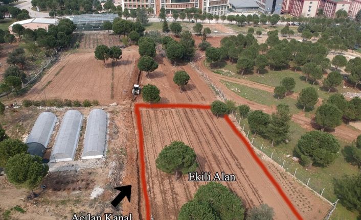 Rektör Bağ’dan BİYOM arazisinde yapılan alt yapı çalışmalarıyla ilgili açıklama: