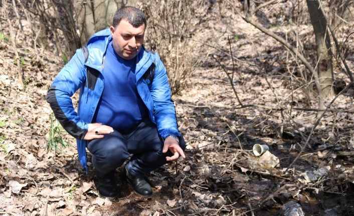 Sivrisineklerin taşıdığı virüslerden yılda 830 bin kişi hayatını kaybediyor